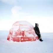 Scarlett Hooft Graafland