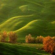 Marek Kiedrowski nature fields